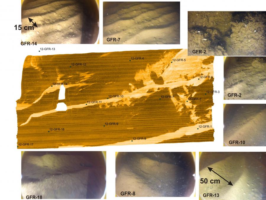 wave-like, flow-transverse features formed of unconsolidated sediments on the seabed. See also: Ripples, Dunes, Megaripples, Sand waves.