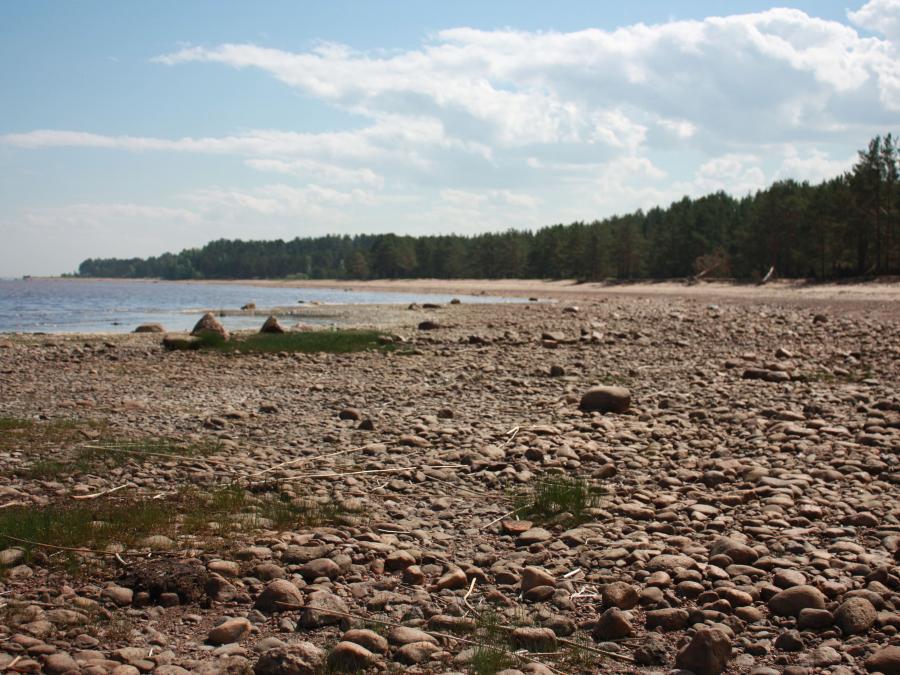 A level or gently sloping plane; a shelf-like area of rock with steeper slopes above and below.