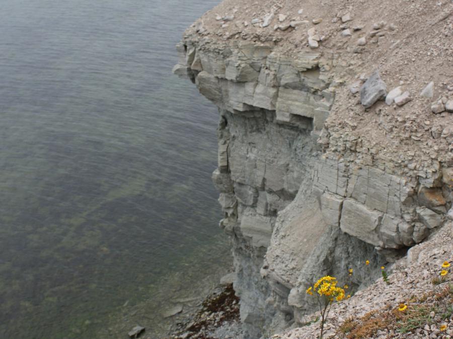 A vertical or near-vertical rock exposure; a tall steep rock face. See also Escarpment.