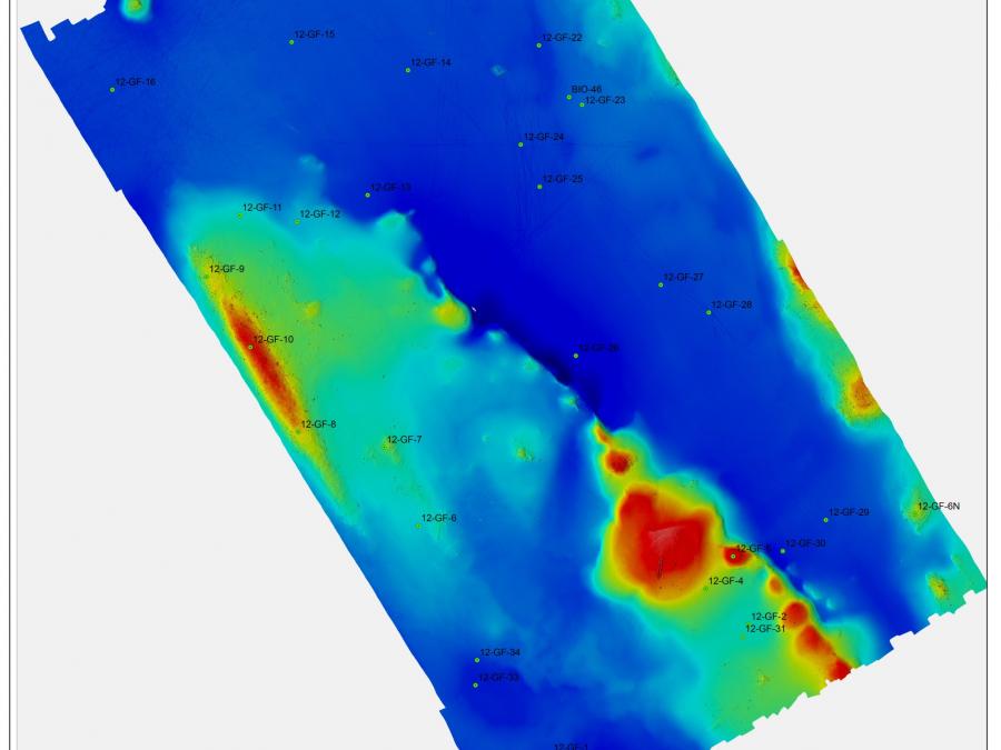 A high resolution seabed mapping system that uses multiple (>1.00) sound beams to map the depth of water in a swath of the seabed across the track of the ship. When the sound pulses bounce off the seafloor, the strength of the echo depends on the roughness and hardness of the seafloor. The strength of the sonar reflection (the backscatter) provides information on the seafloor topography and presence of rock or sediment on the bottom.