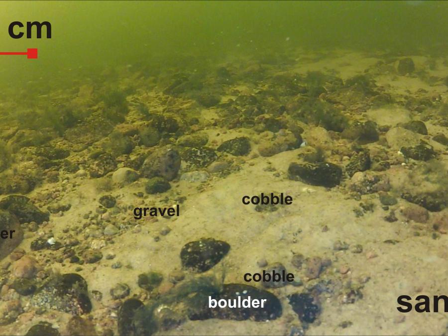 Sediment grains between 0.06 and 2 mm (FIN) and 0.05 and 2 mm (RUS) in size.